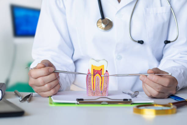 Best Emergency Cosmetic Dentistry in North Cape May, NJ